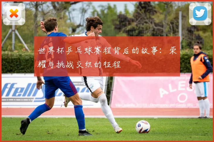 世界杯乒乓球赛程背后的故事：荣耀与挑战交织的征程