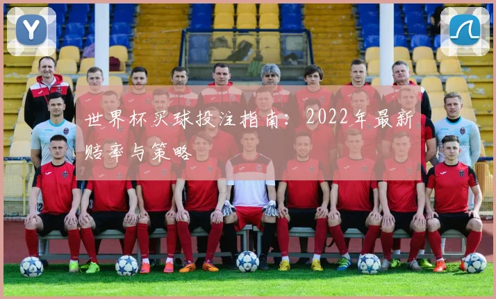 世界杯买球投注指南：2022年最新赔率与策略
